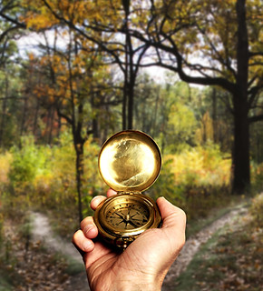 Navigating in Woods