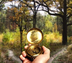 Navigation dans Woods