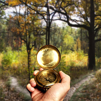 Navigating in Woods