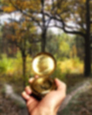 Navigating in Woods