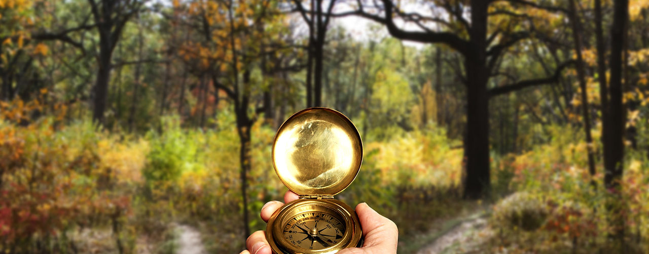 Navigere i Woods