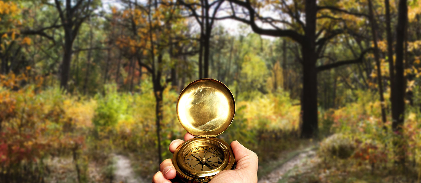 a hand holdng a compss 