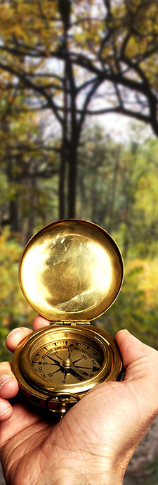 Navigating in Woods
