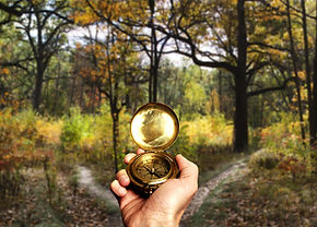 Navigating in Woods