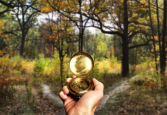Navigating in Woods