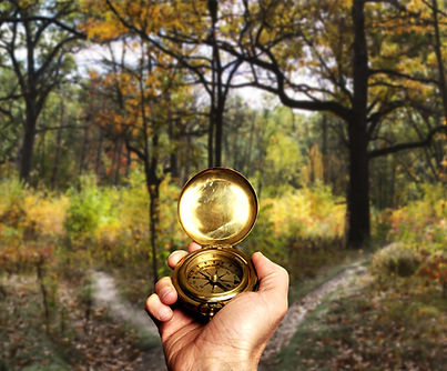 Navigating in Woods