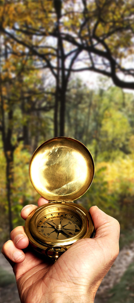 Hand Holding Gold Compass