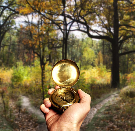 Navigation dans Woods
