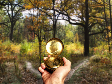 Life Has Thrown You a Curve Ball...Time to Make Your Move