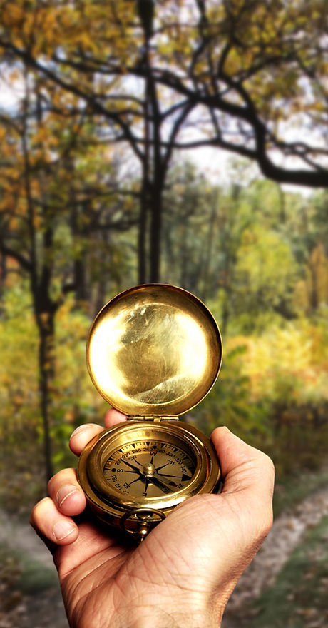 Navigating in Woods
