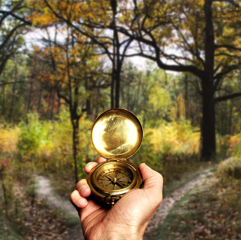 When Life Suddenly Changes: Navigating the Unexpected with Grace and Grounding