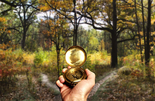 Coaching, Uhr im Wald