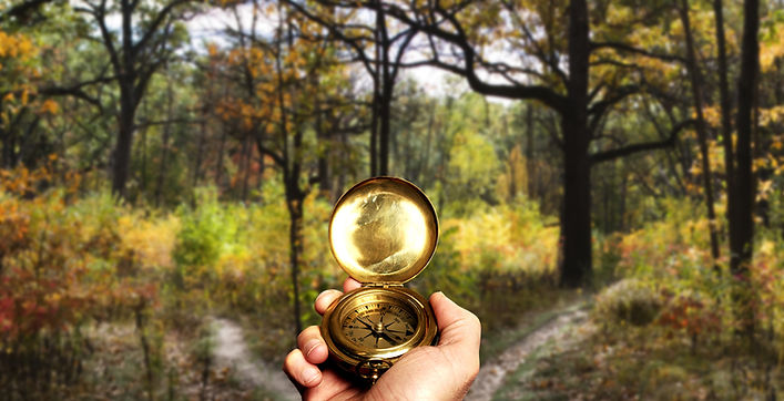 Navigating in Woods