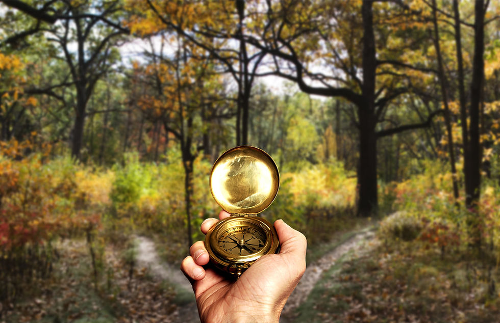 Hand Holding Compass