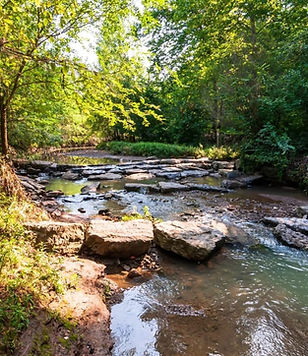frick park 1.jpg