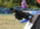 DSC_2731a.jpg