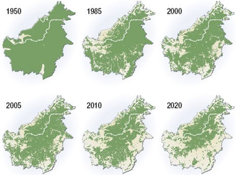 All the green is all the Rainforest in that year.