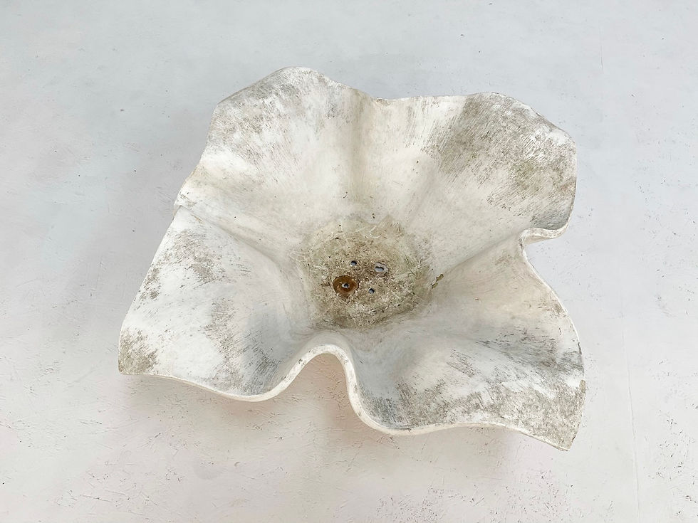 Thumbnail: Willy Guhl planter
