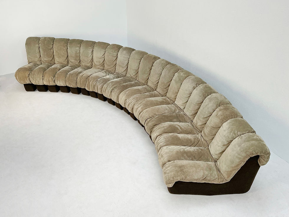 Thumbnail: DS-600 de Sede Snake sofa
