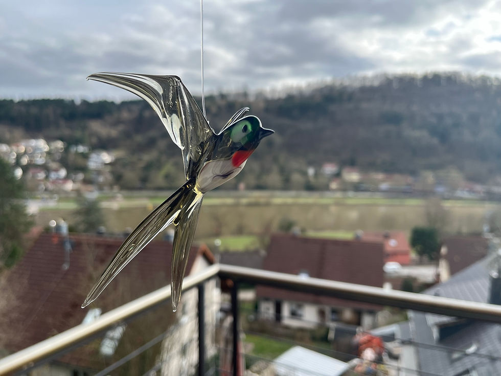 Thumbnail: Swallow