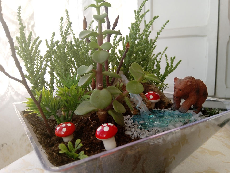 Miniatură: Aranjament plante suculente - Ursul