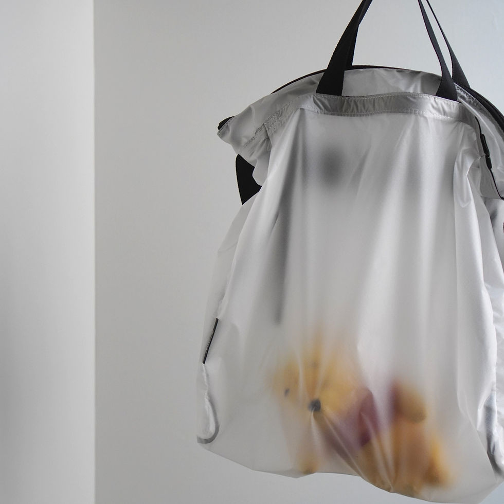 サムネイル： 2way tote - light