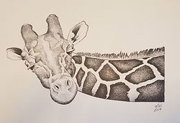 Nikki Wireman giraffe.jpeg