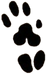 pfote_edited_edited.png
