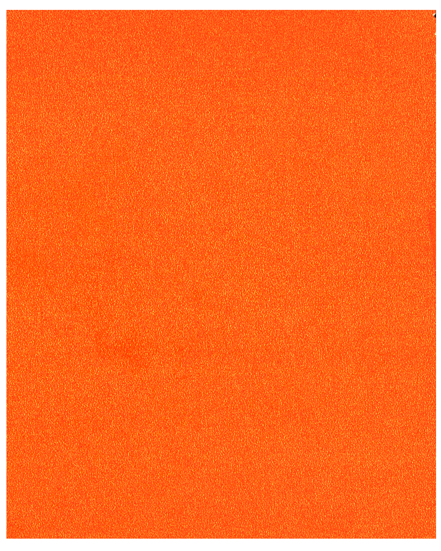 MANDARINA