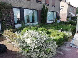 35285802_1858318611127168_47101658733131