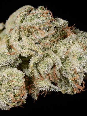"Uncovering the Potent Effects of Gorilla Glue Strain: What to Expect?"