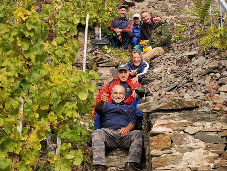 Weinlese 2022 - Die Trauben sind gelesen