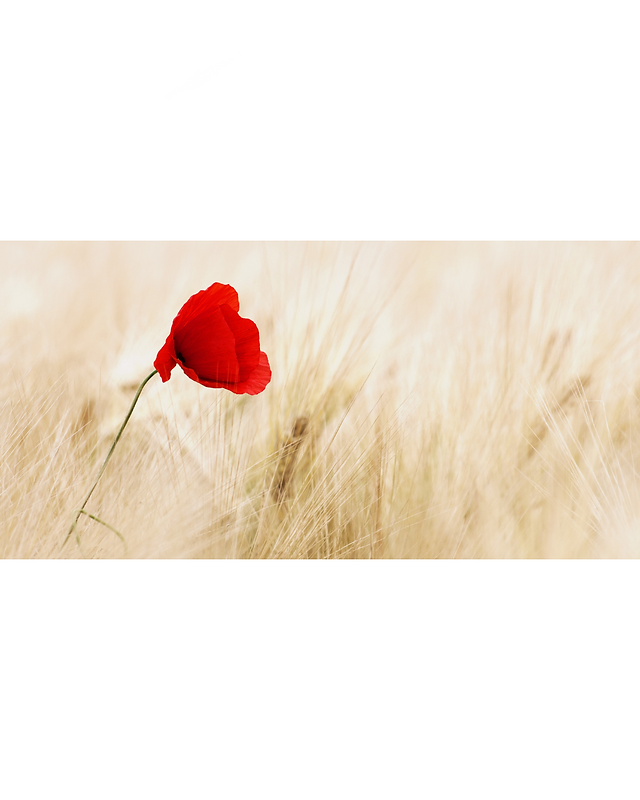 Design sans titre (1).png