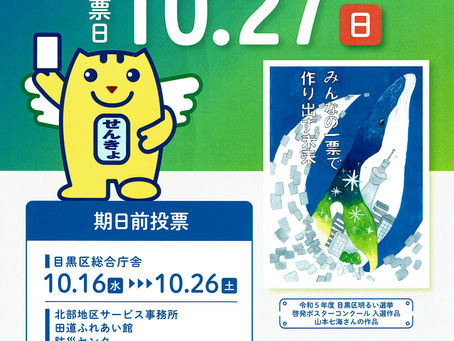 10月27日（日）は選挙投票日です！衆議院議員選挙、最高裁裁判官国民審査