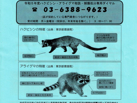 回覧チラシ　2023/3/25