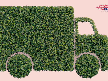 Transporte vs. Sustentabilidad: ¿Cómo minimizar el impacto?