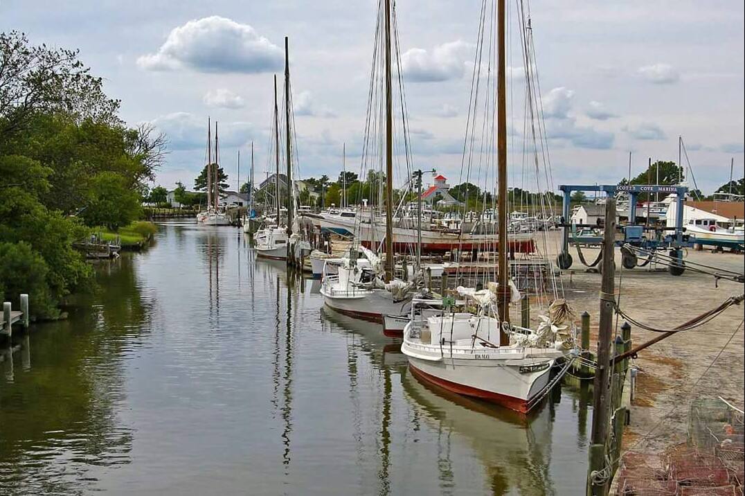 Scott's Cove Marina