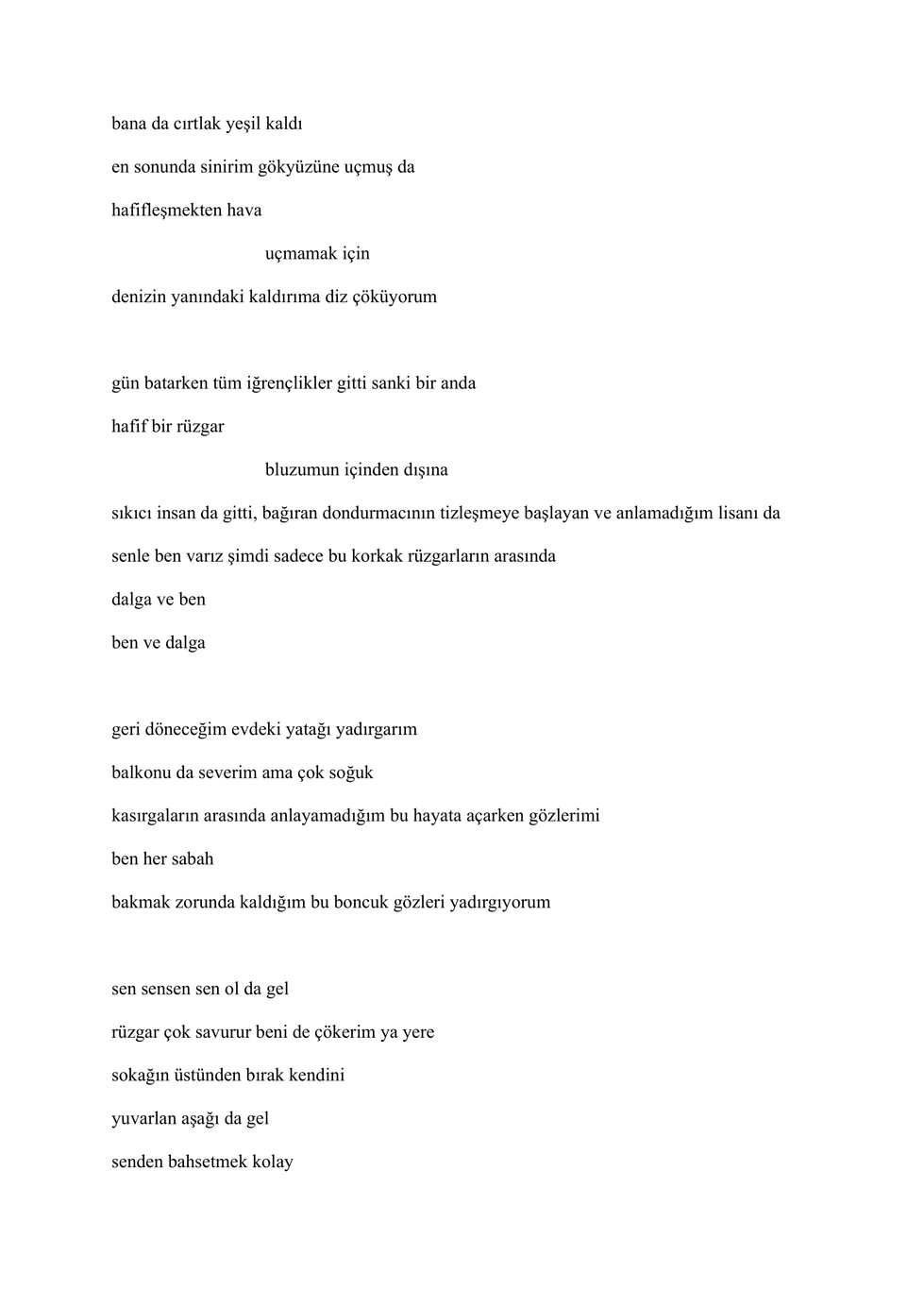 öylesine*pdf-03