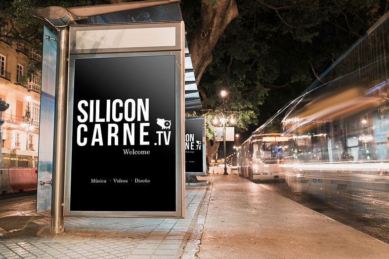 solicon-carne-12.jpg