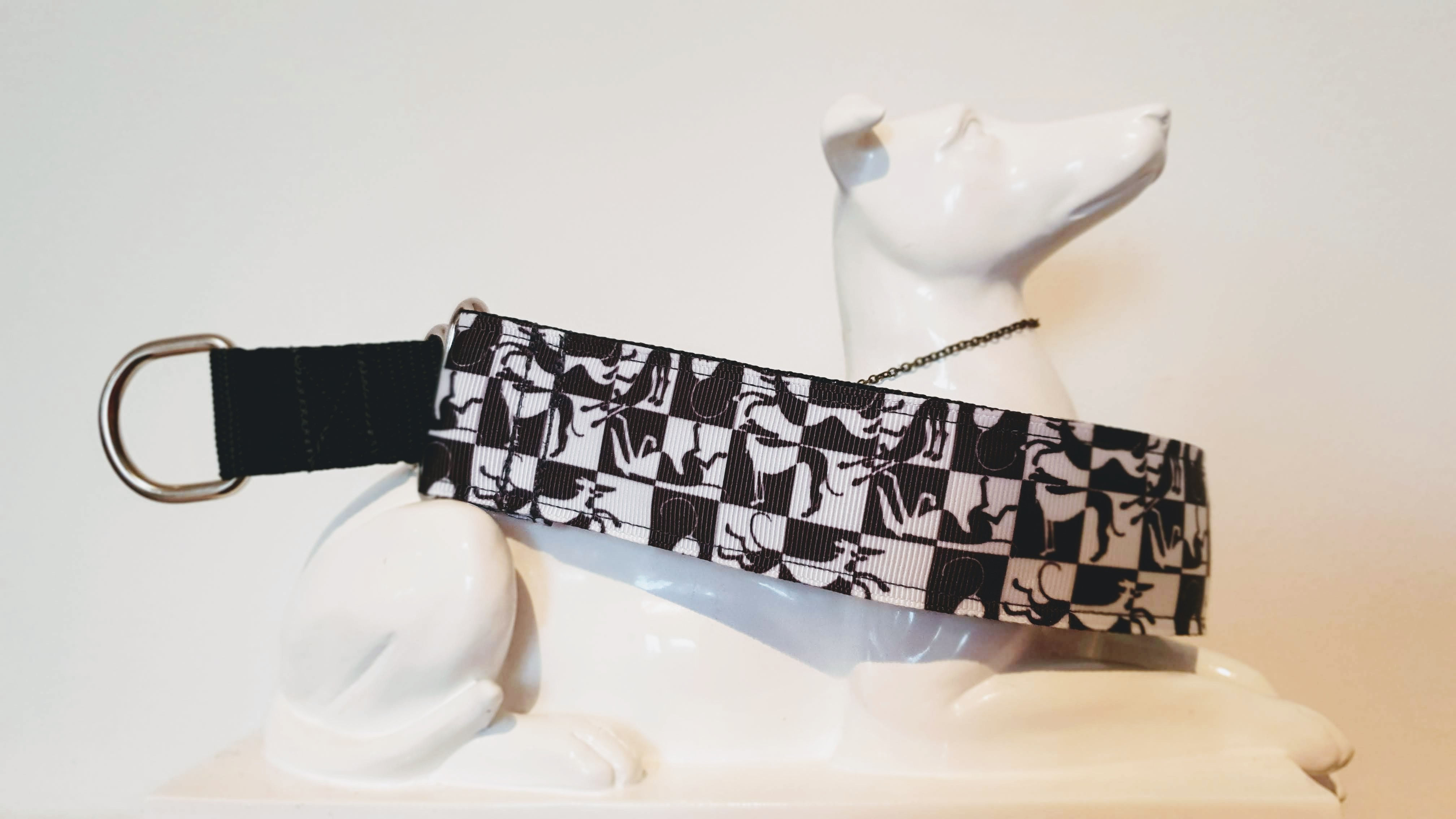 Black and White Collar Hound Richard Skipworth (Broocie's Fundraising)