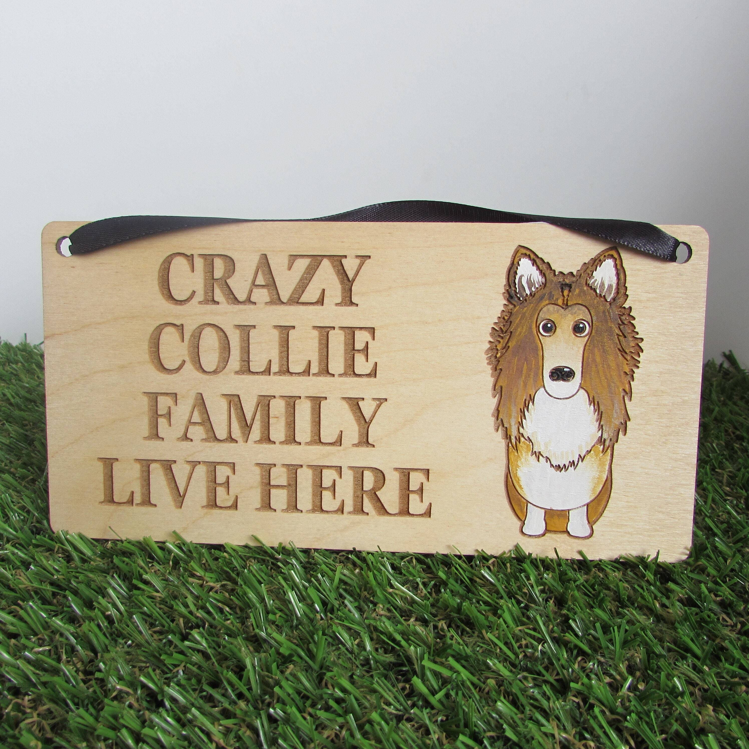 Crazy Collie Family Wooden Sign, Dog Gift, Dog Sig