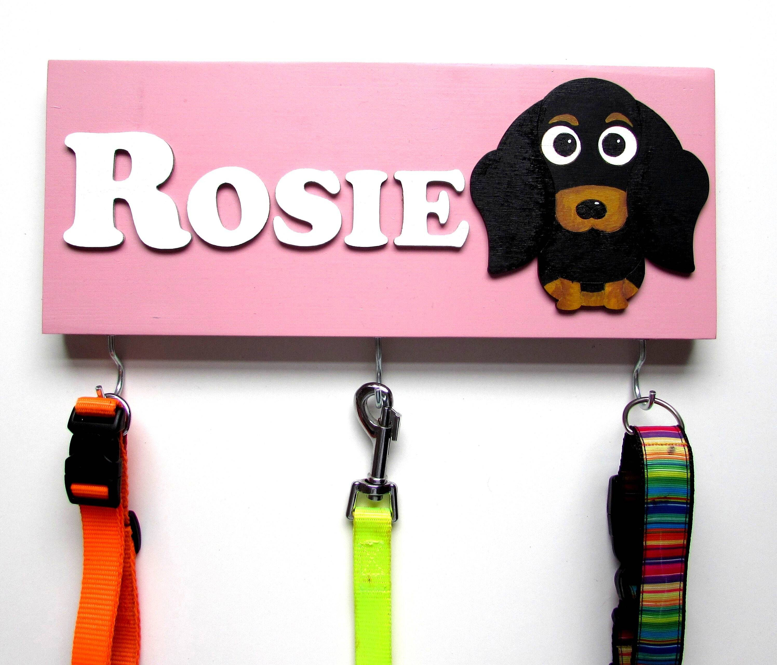 Personalised Smooth Haired Dachshund Lead Holder,