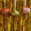 Thumbnail: Tea Bauble Gift (5 tea bags)