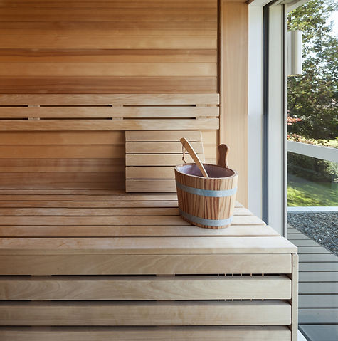 infrared sauna