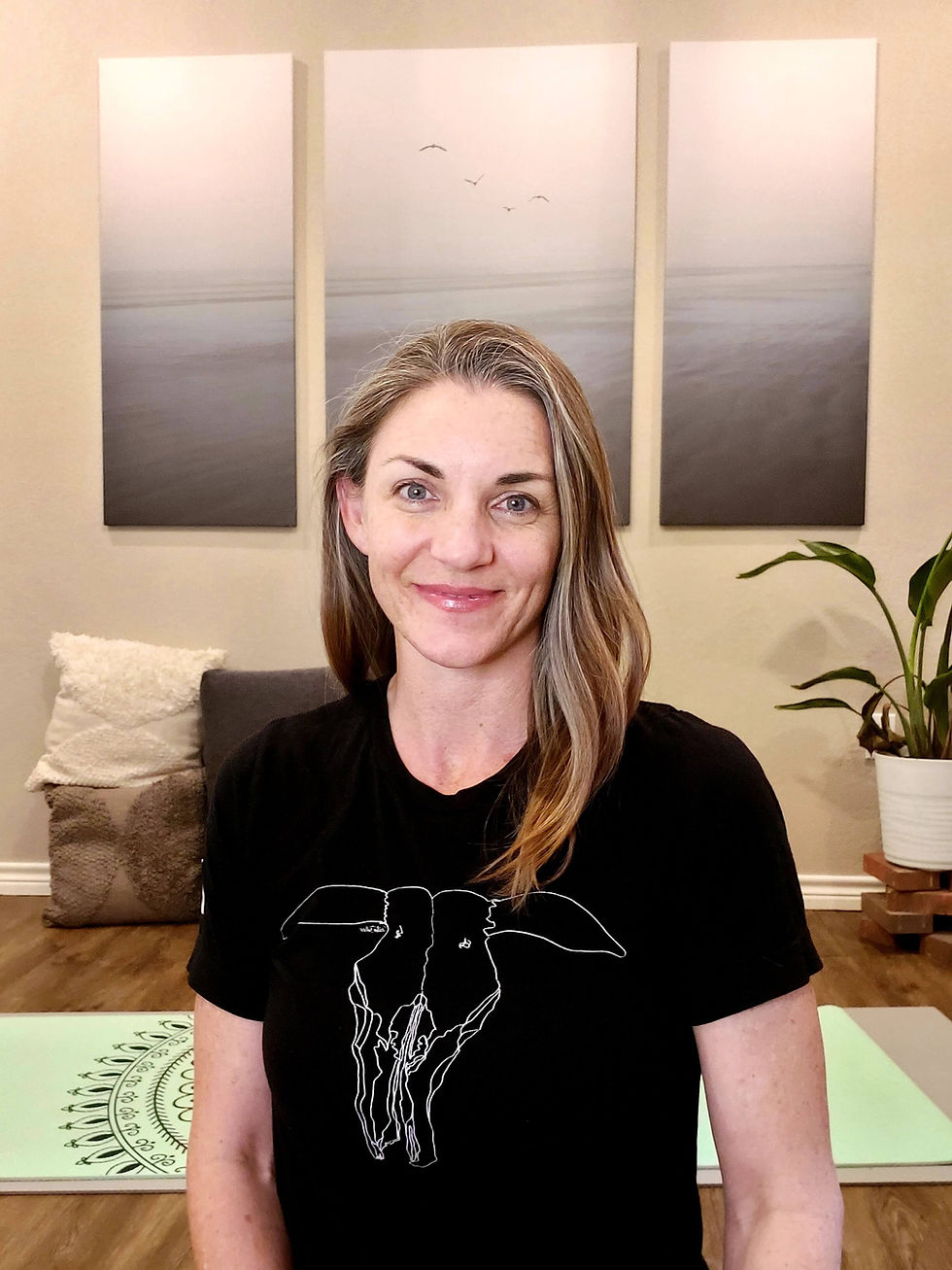 Resources for Virtual Sessions