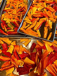 Circle JM Farms Trays-Red-Yellow-Orange-Bell-Peppers-Freeze-Dry-Process.jpg