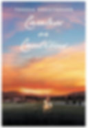 Terri Adventures Careless or Cautious