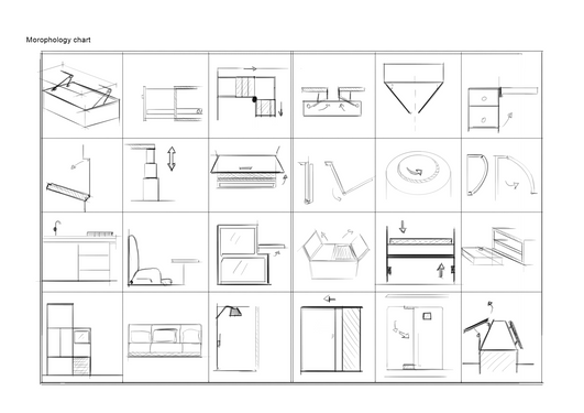Morophology chart.tif