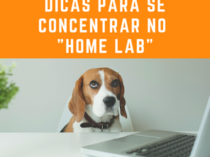 Dicas para se concentrar no “Home Lab”