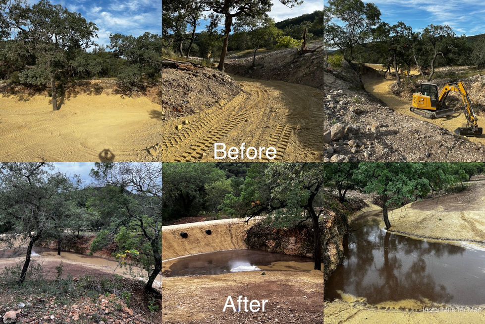 before after 2